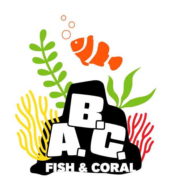 ABC Fish & Coral